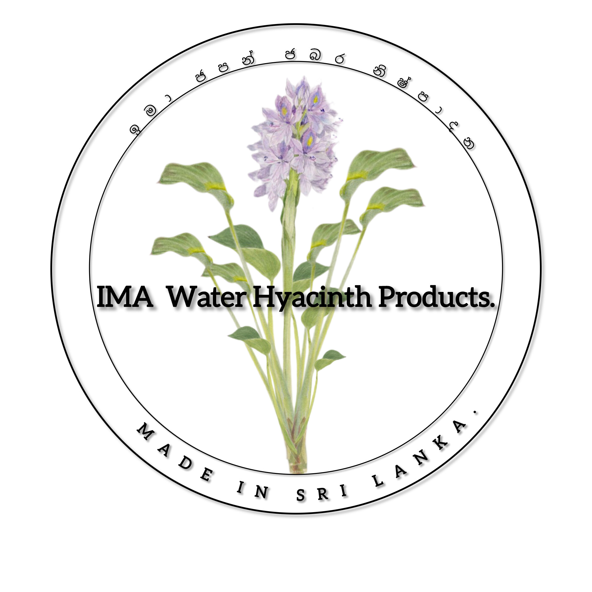 Ima water Hyacinth products